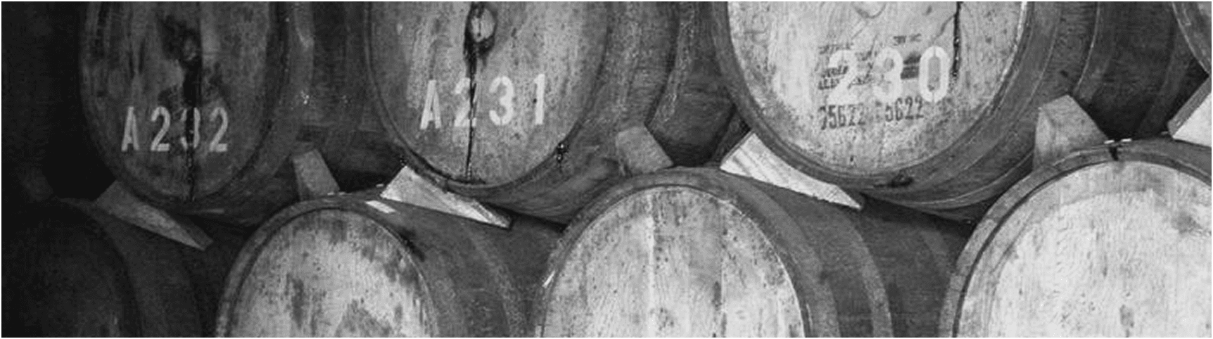 Aging Barrels in Cellar